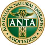 Anta Logo