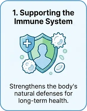 Supporting the Immune System